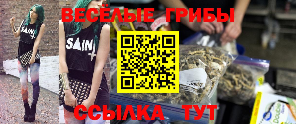 Алейск  Псилоцибиновые грибы Psilocybe  Вход с VPN 