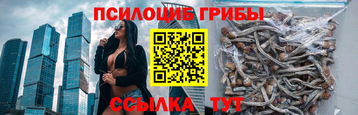 Галлюциногенные грибы Cubensis Алейск